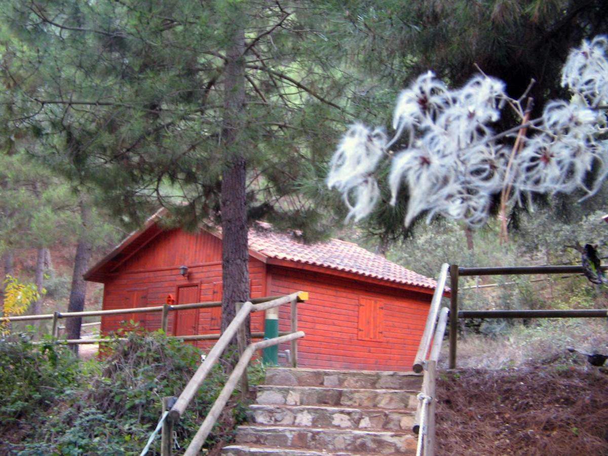 Cabañas La Toma del Agua Riópar Exterior foto